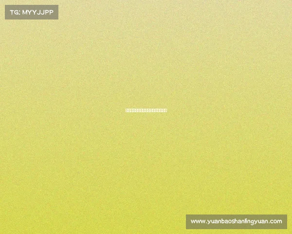 中国国内汽车赛事中国汽车赛车队排名