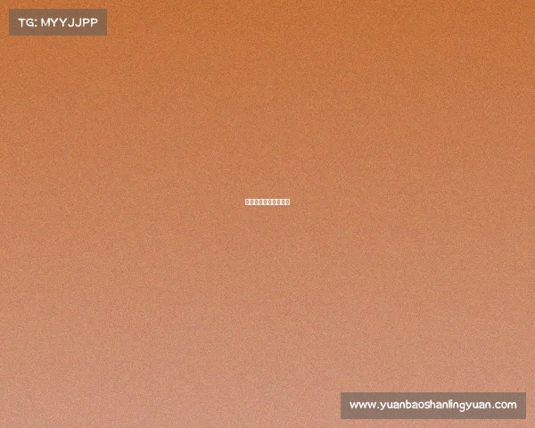 八一队现在在哪里打球