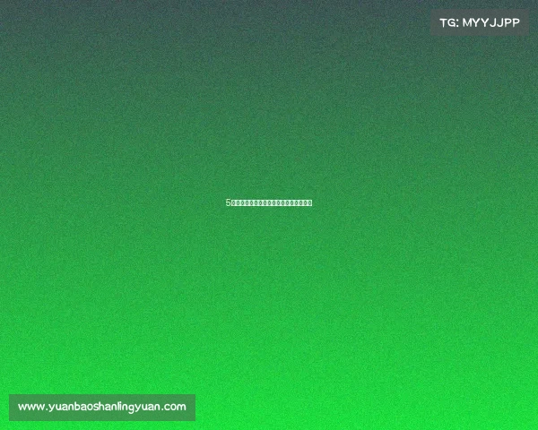 5体育赛事直播震撼登场激情对决实时上演